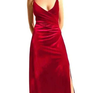 NWT Zara Pleated Velvet Dress